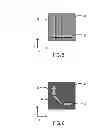 Fig. 04 - Self-polarized mask and self-polarized mask application