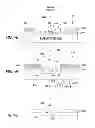 Fig. 06 - Apparatus and methods for etching quartz substrate in photomask manufacturing applications