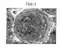Fig. 06 - Toner and image forming apparatus