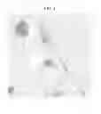 Fig. 04 - Toner for electrostatic latent image development