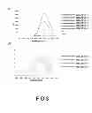 Fig. 04 - Method of detecting nucleic acids, method of optically observing sample and fluorescent substance