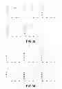 Fig. 33 - Method of detecting nucleic acids, method of optically observing sample and fluorescent substance