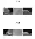 Fig. 02 - Etchant composition and manufacturing method for thin film transistor using the same