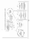 Fig. 02 - Interactive personal surveillance and security (IPSS) systems and methods