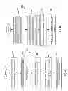 Fig. 41 - Interactive personal surveillance and security (IPSS) systems and methods