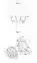Fig. 09 - Fixed type constant velocity universal joint
