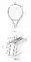 Fig. 02 - Next-Generation Wooden Racket