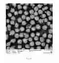 Fig. 22 - Synthetic proppants and monodispersed proppants and methods of making the same
