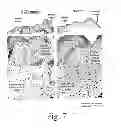 Fig. 06 - Compositions and methods for promoting wound healing and tissue regeneration