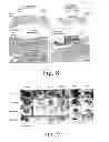 Fig. 07 - Compositions and methods for promoting wound healing and tissue regeneration