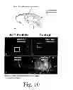 Fig. 08 - Compositions and methods for promoting wound healing and tissue regeneration