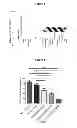 Fig. 09 - Single chain relaxin polypeptides