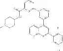 Fig. 131 - Hetaryl-[1,8]naphthyridine derivatives