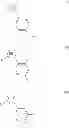 Fig. 02 - 5- AND 6-MEMBERED HETEROCYCLIC COMPOUNDS