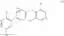 Fig. 04 - COMPOUNDS FOR INFLAMMATION AND IMMUNE-RELATED USES