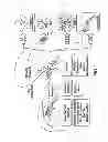 Fig. 02 - Composition for inhibition of insect host sensing