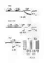 Fig. 06 - Composition for inhibition of insect host sensing