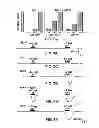 Fig. 08 - Composition for inhibition of insect host sensing