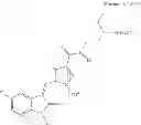 Fig. 08 - Polymer-des-ethyl sunitinib conjugates
