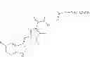 Fig. 32 - Polymer-des-ethyl sunitinib conjugates