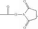 Fig. 52 - Polymer-des-ethyl sunitinib conjugates