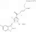 Fig. 69 - Polymer-des-ethyl sunitinib conjugates