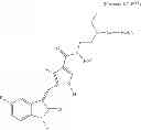 Fig. 72 - Polymer-des-ethyl sunitinib conjugates