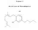 Fig. 02 - PHARMACEUTICAL COMPOSITIONS COMPRISING CANNABIGEROL