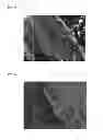 Fig. 02 - Urethane foam molded product and method for producing the same