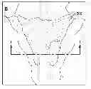 Fig. 01 - POLYURETHANE FOAMS FOR TRENCH BREAKER AND OTHER APPLICATIONS
