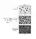 Fig. 03 - Porous polymer membrane with covalent network structure and production method thereof