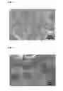 Fig. 05 - Porous polymer membrane with covalent network structure and production method thereof