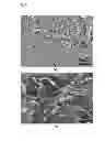 Fig. 06 - Porous polymer membrane with covalent network structure and production method thereof