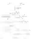 Fig. 04 - Degradable thiol-ene polymers