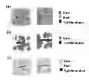 Fig. 01 - Procedure summary of water-based polymer resin doped titanium dioxide nanotubes as application corrosion coating