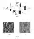 Fig. 02 - Procedure summary of water-based polymer resin doped titanium dioxide nanotubes as application corrosion coating