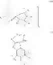 Fig. 02 - Bi- or tricyclic sterically hindered alkoxyamines and process for their preparation