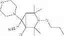 Fig. 43 - Bi- or tricyclic sterically hindered alkoxyamines and process for their preparation