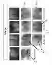 Fig. 06 - Polymer Food Packaging