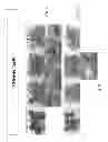 Fig. 07 - Polymer Food Packaging