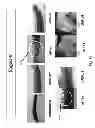 Fig. 09 - Polymer Food Packaging