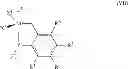 Fig. 22 - Solvent-free enyne metathesis polymerization
