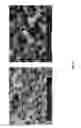 Fig. 84 - THERMOSET CROSS-LINKED NETWORK
