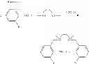 Fig. 06 - Halogenated catalysts comprising Salan ligands