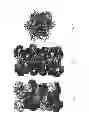 Fig. 07 - AMYLOID-BETA PEPTIDE CRYSTAL STRUCTURE