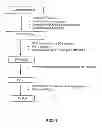 Fig. 02 - Process for the preparation of a virus-inactivated FV concentrate starting from human plasma, scalable to industrial level