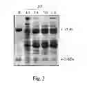 Fig. 03 - Method for extracting IgY (γ-livetin) from egg yolk