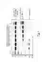 Fig. 05 - Method for extracting IgY (γ-livetin) from egg yolk