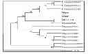 Fig. 02 - GENERATION AND REPRODUCTION OF DNA SEQUENCES AND ANALYSIS OF POLYMORPHISMS AND MUTATIONS BY USING ERROR-CORRECTING CODES