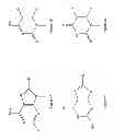 Fig. 02 - Synthesis of deuterated ribo nucleosides, N-protected phosphoramidites, and oligonucleotides